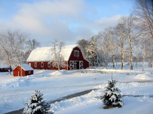 1417474_10152077061374176_637650080_o-1