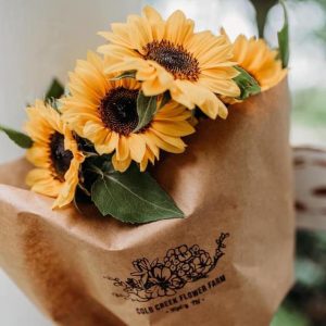 280758913_163353332818972_8548883561016787904_n-1