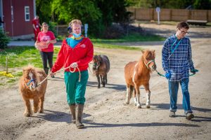 Allaire-Farm-Photo-1