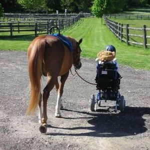 Bina-Farm-Center-1-1