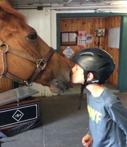 Bina-Farm-Center-3-1