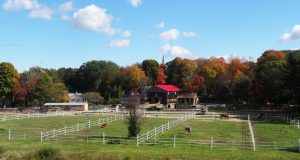 Bina-Farm-Center-4-1