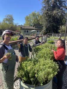 Common Roots Farm CA 3