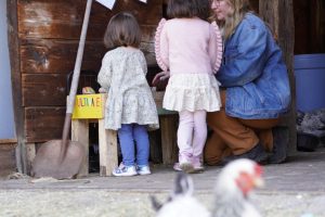 Cultivate Care Farm chicken