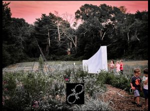 Flying Starlings kids