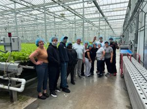 Garden Time hydroponics