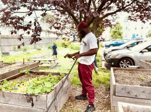 Garden Time watering