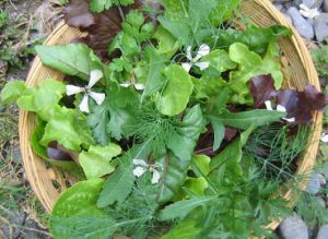 Green Bridge Growers Greens