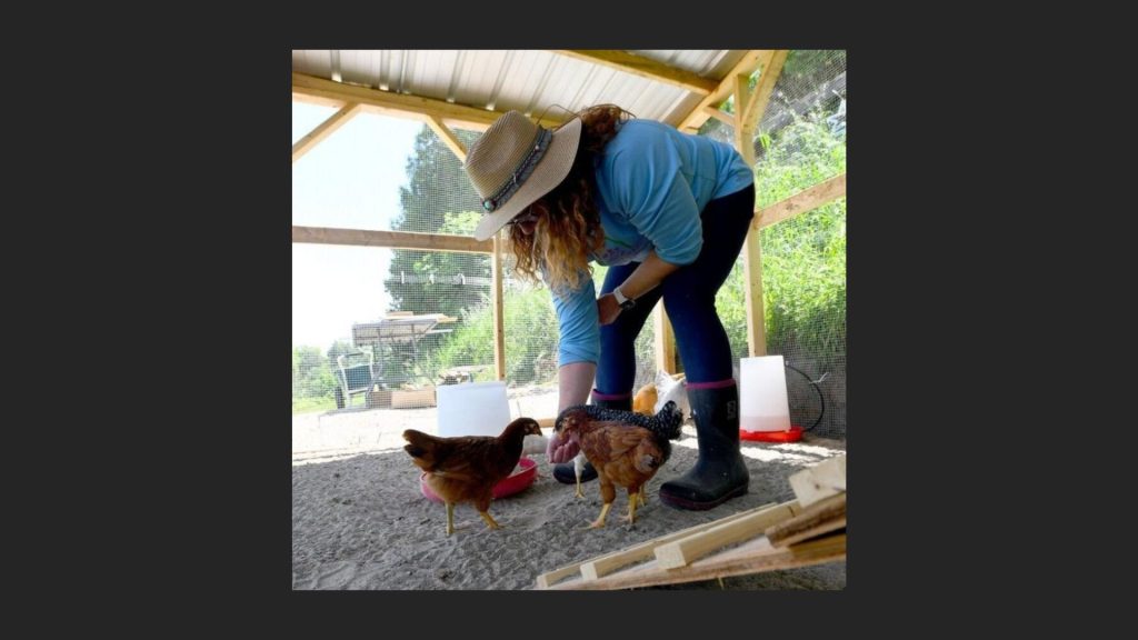 woman feeding chickens