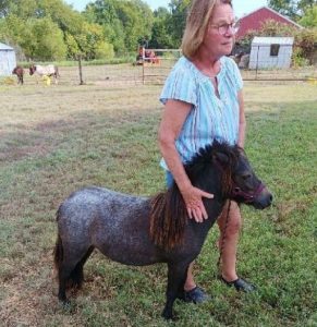 Healing-Hearts-Farm-1