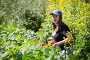 Heartbeet Lifesharing