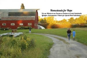 Homesteads-for-Hope-3-1