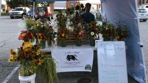 LittleOtterMax-at-Market-Large-1