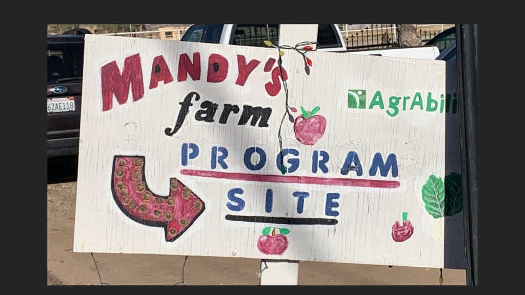 Mandy's Farm Sign