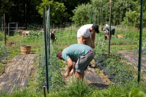 Media-Gallery_Crew1-768×512-1-1