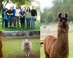 Mustang Acres family