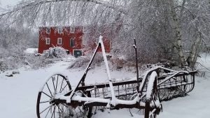 Pilliwop-Therapeutic-Farm-1