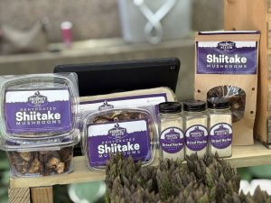 Prospect Meadow mushrooms