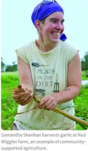 photo of woman picking garlic