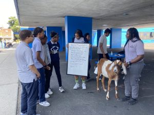 School Poetry lesson- Philly Goat