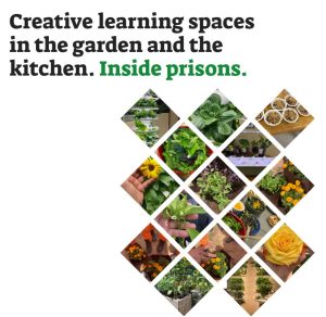 Seed & Bloom Creating learning spaces in the garden and the kitchen. Inside Prisons.