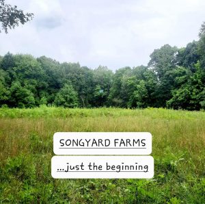 Songyard-Farms-1-1