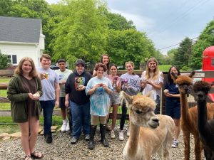 The Chris Center llamas
