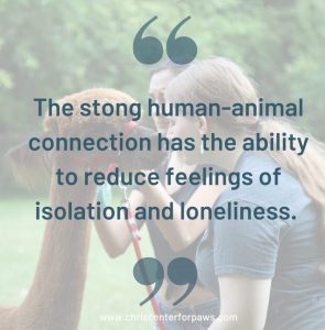 The Chris center quote