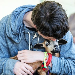 therapeutic-farm_84-1