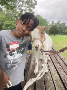 Therapy visit Philly Goat