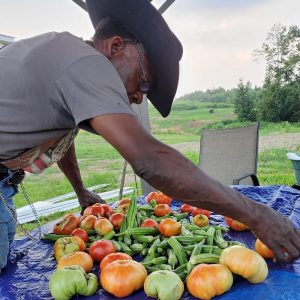 TLC Man organizing produce on a table at Tender Love & Care Farm