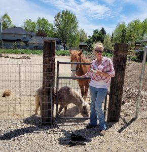Warm Springs Care Farm animals