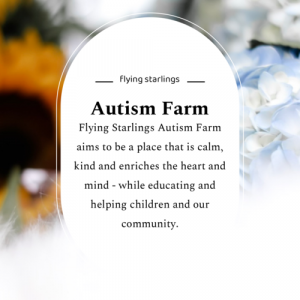 Flying-Starlings-3-1