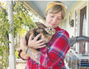 simple sparrow photo